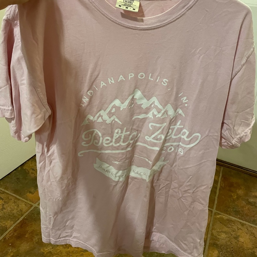 Light Pink Delta Zeta Sorority Shirt With Mountains